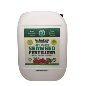 Fertilizer For Plants