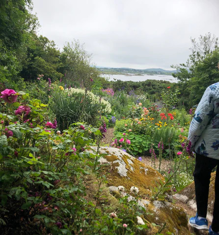 a wildflower spring garden