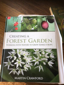 creating a forest garden book cover