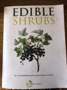 edible shrubs book cover