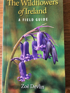the wildflowers of ireland book cover